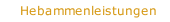 Hebammenleistungen